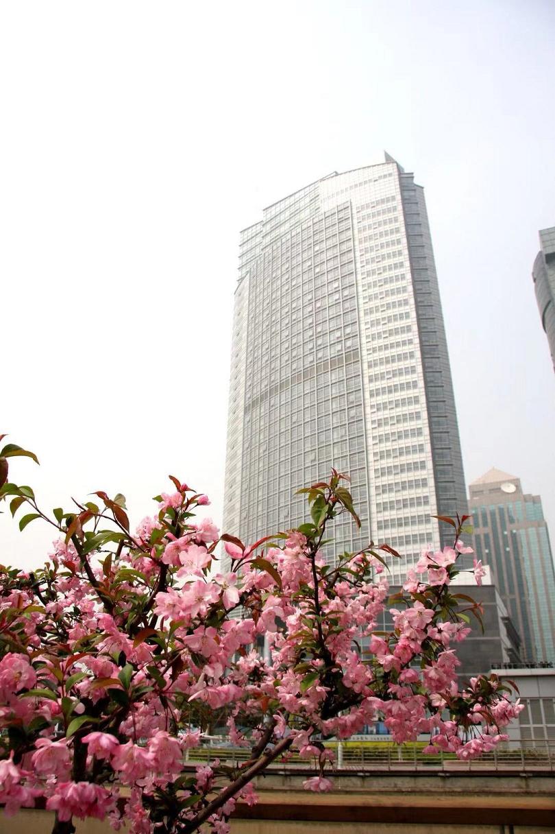 国家对外文化贸易基地（上海）