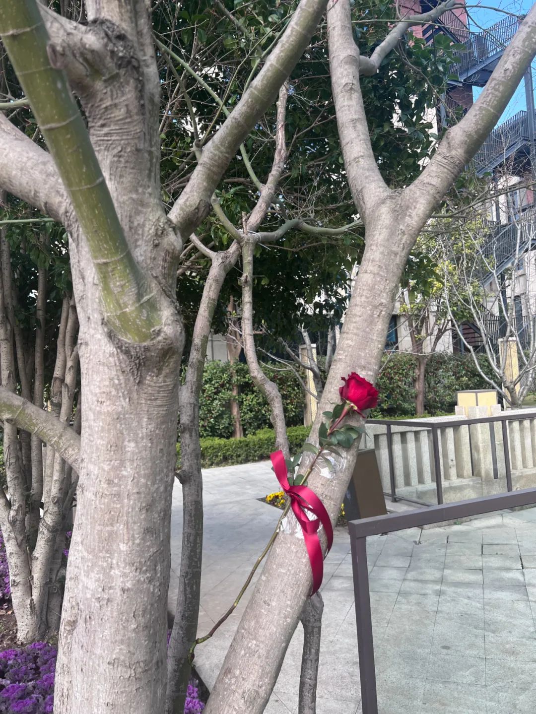 妇女节快乐| 感谢永远热爱、独立又与众不同的,无需定义的自己!