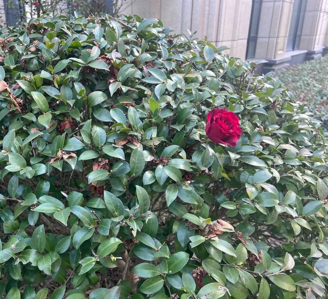 妇女节快乐| 感谢永远热爱、独立又与众不同的,无需定义的自己!